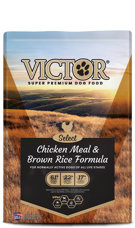 bag victor dog food Victor Select Chicken Meal & Brown Rice Formula 40# Bag – Napoleon Feed  Mill Express