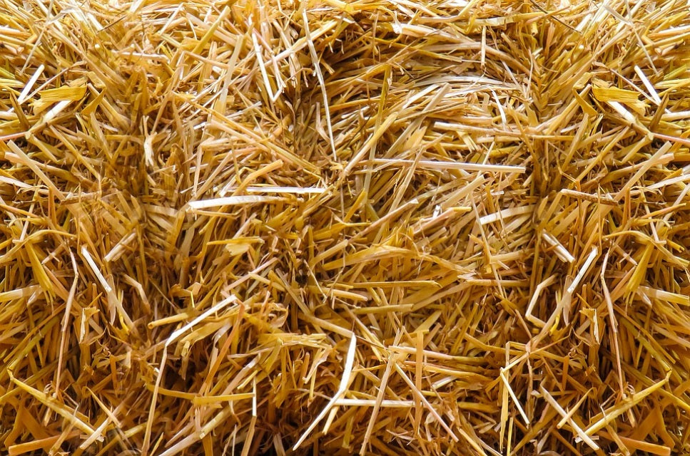 Straw Bales