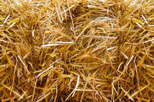 Straw Bales