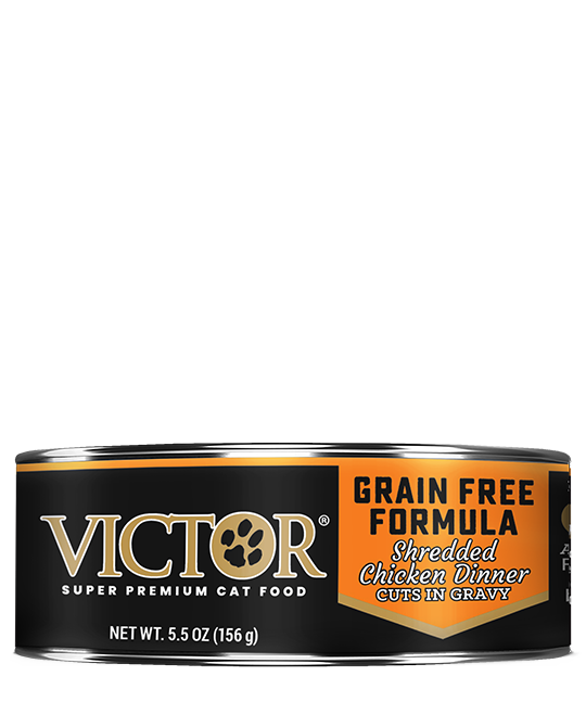 Victor Shredded Chicken Dinner Grain Free Canned Cat Food