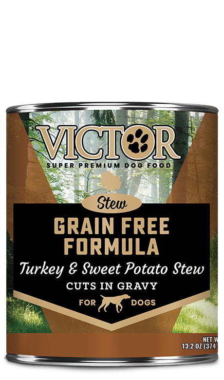 Victor Canned Dog Food Turkey and Sweet Potato Grain Free