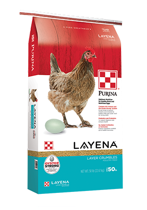 Purina Layena Chicken Feed