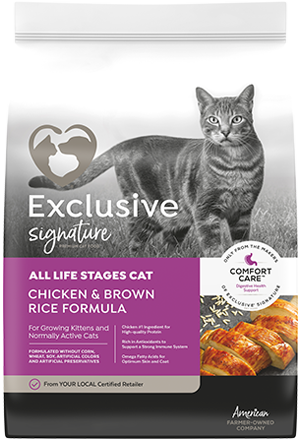 Exclusive Chicken & Rice Cat Food