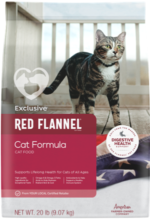 Red Flannel Cat