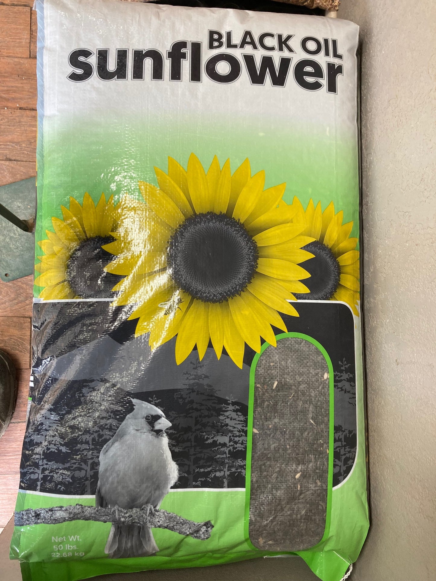 Black Oil Sunflower Seed