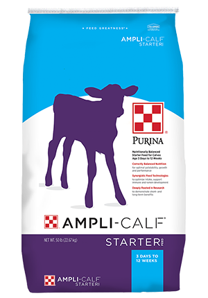 Ampli-Calf Starter 22