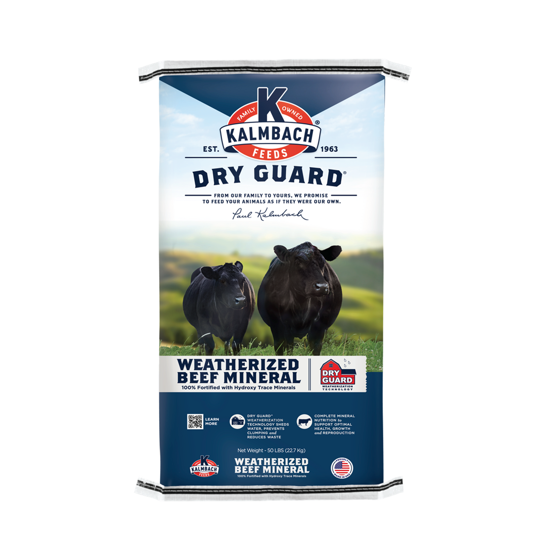 Kalmbach Dry Guard All Season Mineral