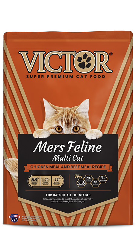 Victor Mers Feline