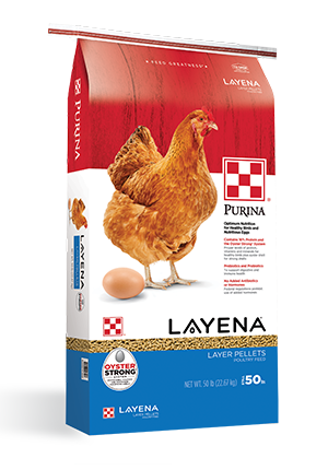 Purina Layena Chicken Feed