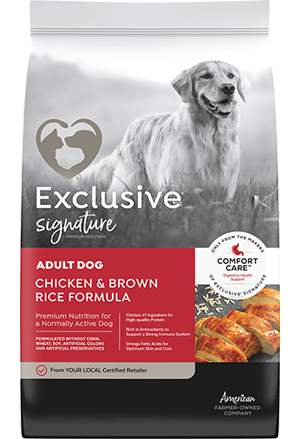 Exclusive Chicken & Brown Rice Adult Dog Food